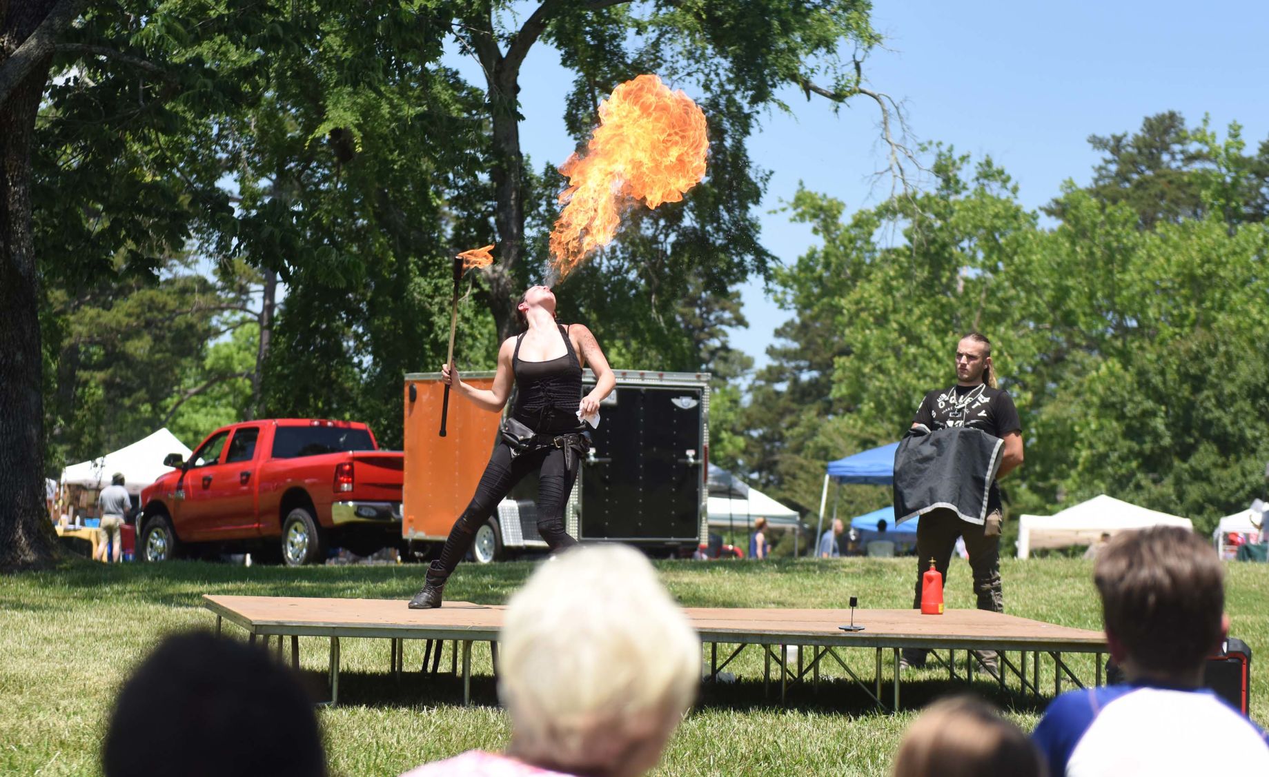 Festival in the Park